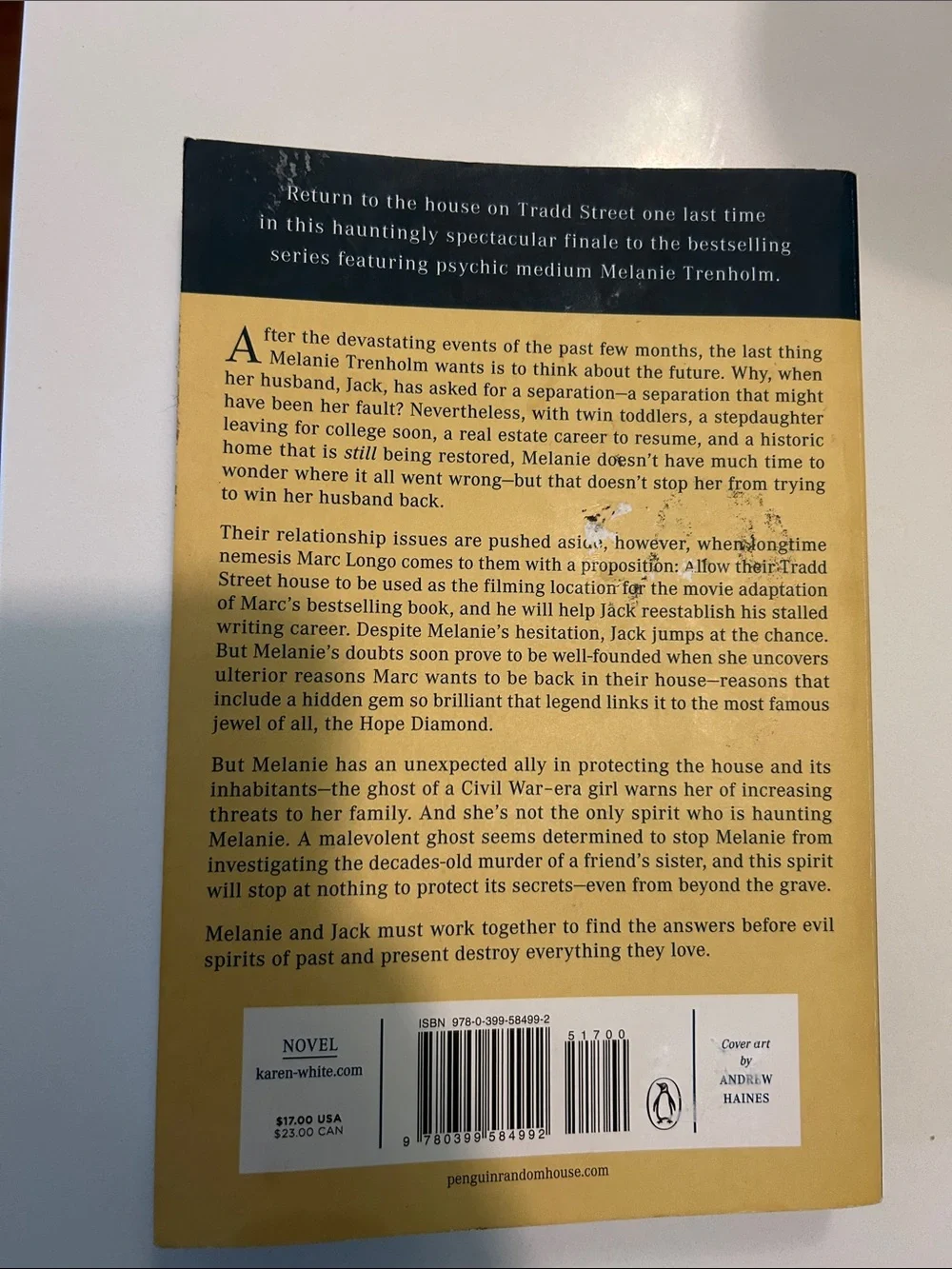 The Attic on Queen Street - Yellow Paperback Book